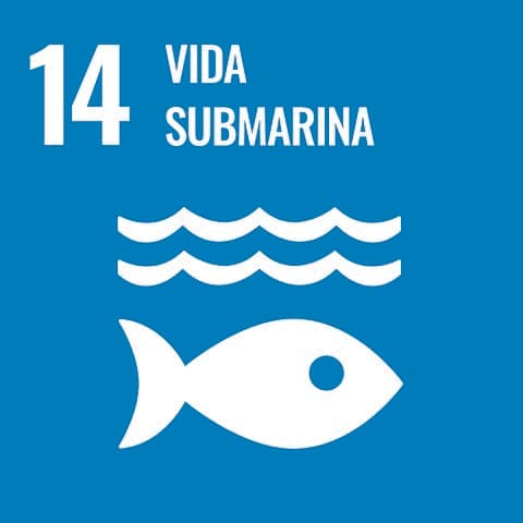 Vida Submarina