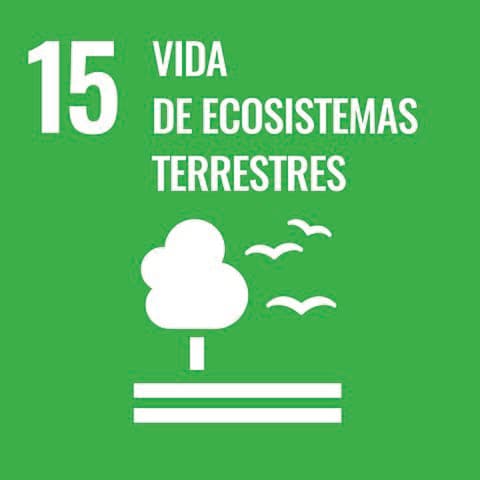 Vida de Ecosistemas Terrestres